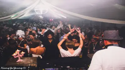BIRD Rotterdam: The Complete Guide to the Hofbogen Live Venue